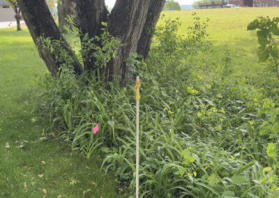Rare Mississippi Riverfront Acreage • La Crescent, Minnesota
