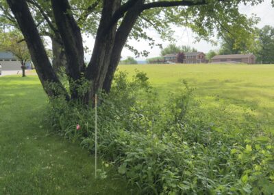 Rare Mississippi Riverfront Acreage • La Crescent, Minnesota