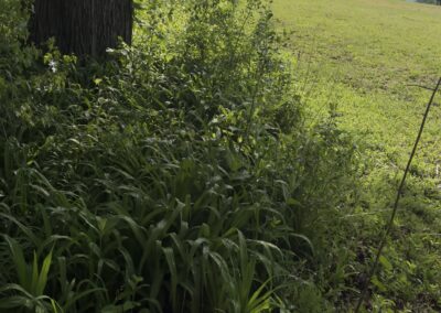 Rare Mississippi Riverfront Acreage • La Crescent, Minnesota