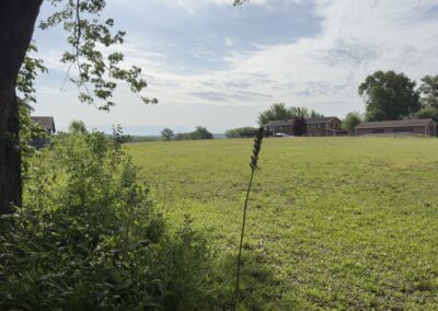 Rare Mississippi Riverfront Acreage • La Crescent, Minnesota